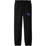 Curry College Youth Heavy Blend Sweatpant