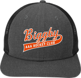 Biggby Coffee AAA New Era Snapback Low Profile Trucker Cap