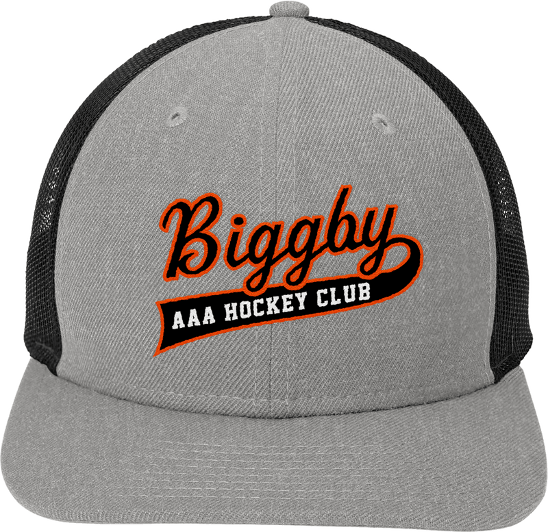 Biggby Coffee AAA New Era Snapback Low Profile Trucker Cap