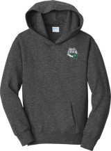 Woodbridge Wolfpack Youth Fan Favorite Fleece Pullover Hooded Sweatshirt